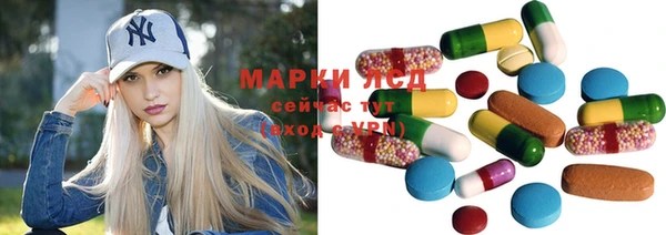 винт Аркадак