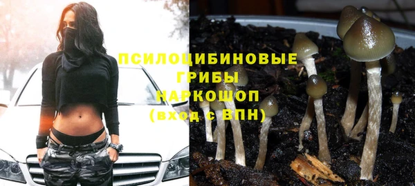 мяу мяу мука Алексеевка